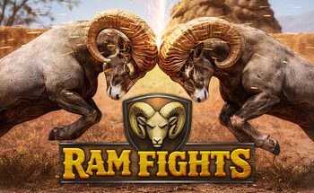 Dari Domba sampai Kerbau, Semua Jadi Gladiator di RAM FIGHTS !