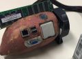 RTX 2050 Laptop Kembali Jadi Bahan Meme, “Kentang Sejati” Kata Komunitas